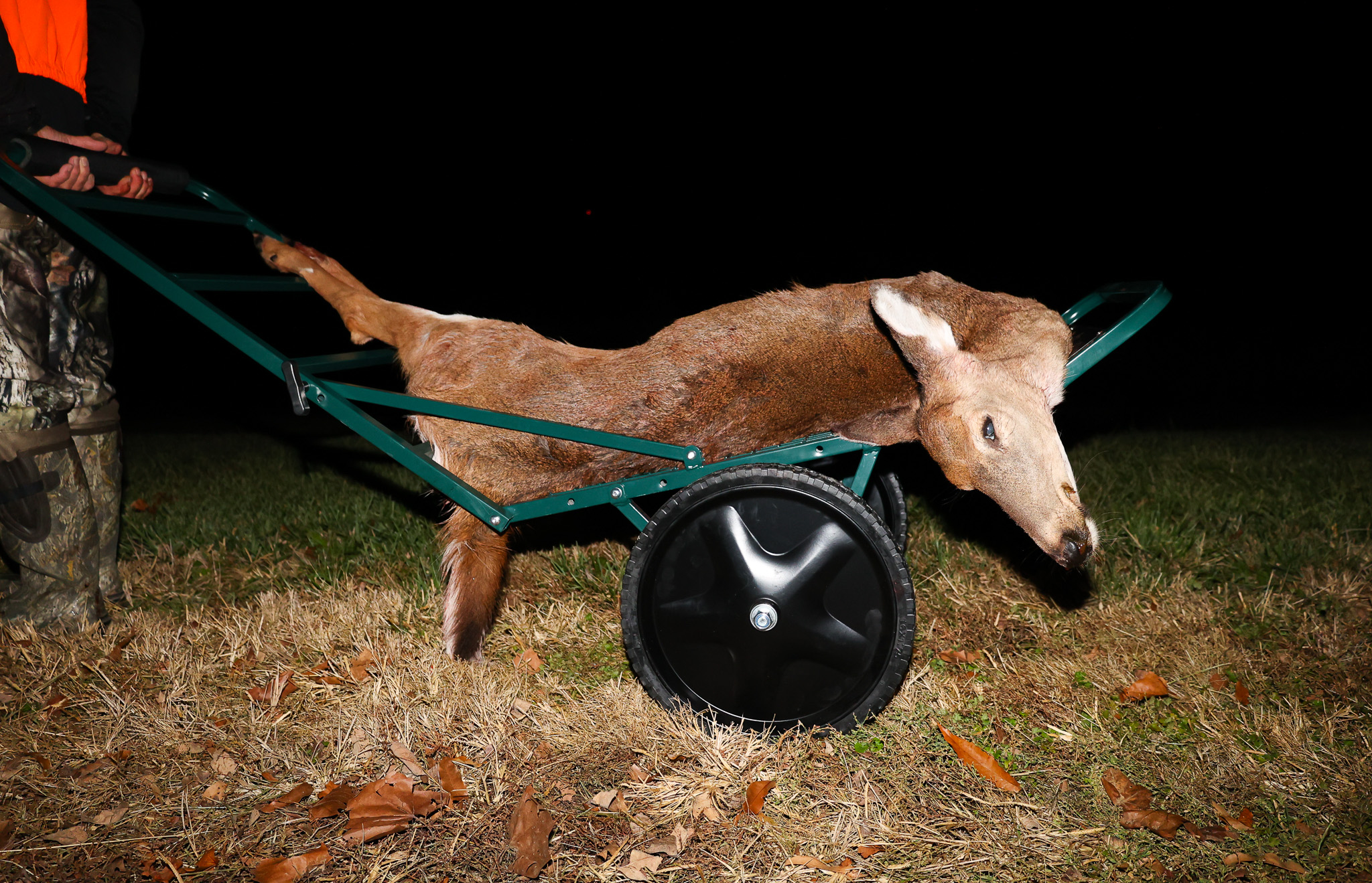 [Titre du site] Arrêtez de faire glisser le cerf. Utilisez-les à la place