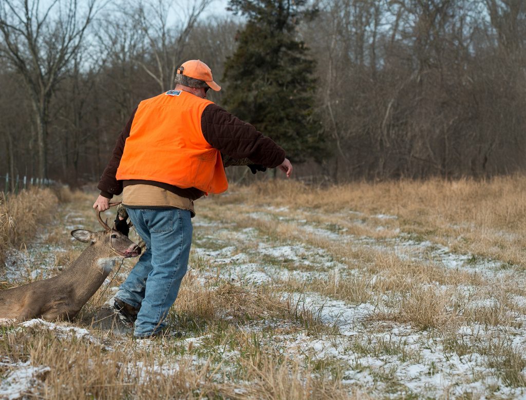 Arrêtez de faire glisser le cerf. Utilisez-les à la place