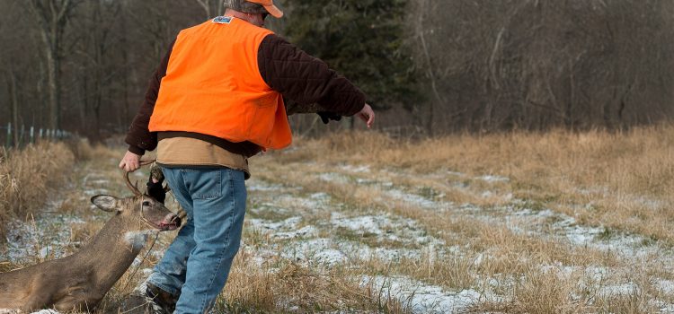 Arrêtez de faire glisser le cerf. Utilisez-les à la place Arrêtez de faire glisser le cerf. Utilisez-les à la place