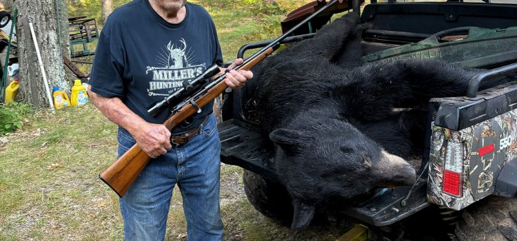 Cet homme de 97 ans a marqué un ours sur sa propriété après avoir attendu 9 ans pour dessiner une étiquette Cet homme de 97 ans a marqué un ours sur sa propriété après avoir attendu 9 ans pour dessiner une étiquette