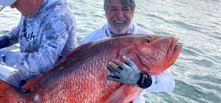 Cette «bête» d'un vivaneau devrait établir un nouveau record du monde
