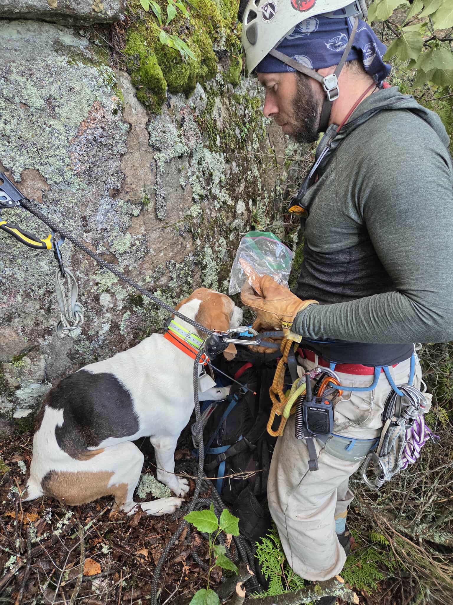 [Titre du site] Boomer The Hound Dog a été bloqué sur une falaise pendant deux jours. Puis il a obtenu un sauvetage improbable