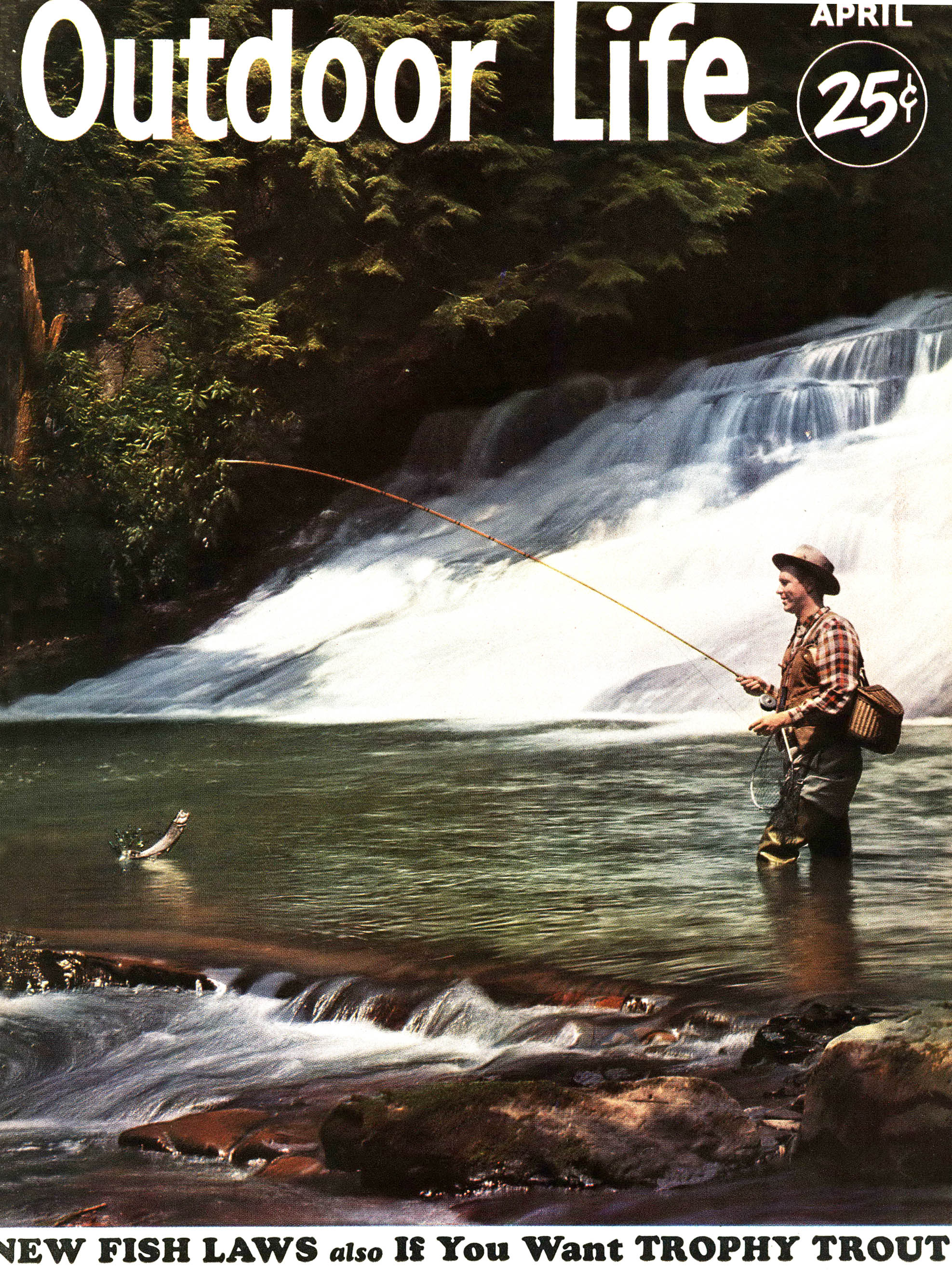 [Titre du site] Cette chasse au canard m'a presque tué. C'est pourquoi je ne chasserai plus jamais seul