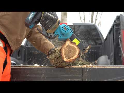 [Titre du site] Cette mini-tronçonneuse de 40 $ fonctionne en fait