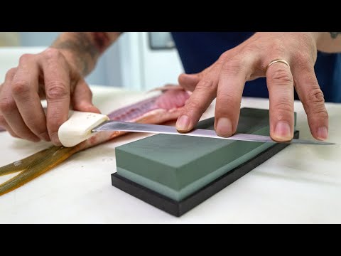 [Titre du site] Podcast rapide: comment maximiser les filets, avec la marque REED «The Fish Monger»