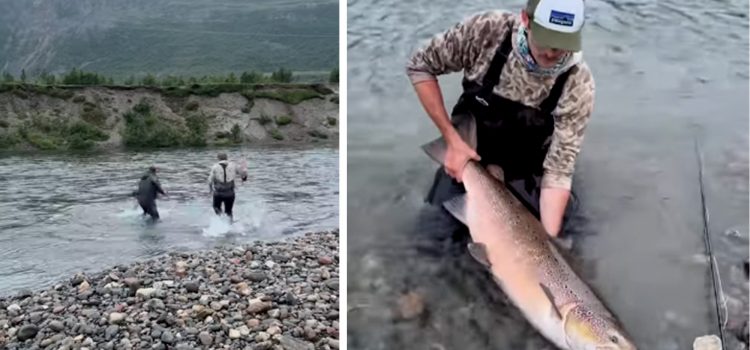 REGARDER: Le saumon de l’Atlantique «Ginormous» prend le pêcheur sur une course de long en aval de long REGARDER: Le saumon de l'Atlantique «Ginormous» prend le pêcheur sur une course de long en aval de long