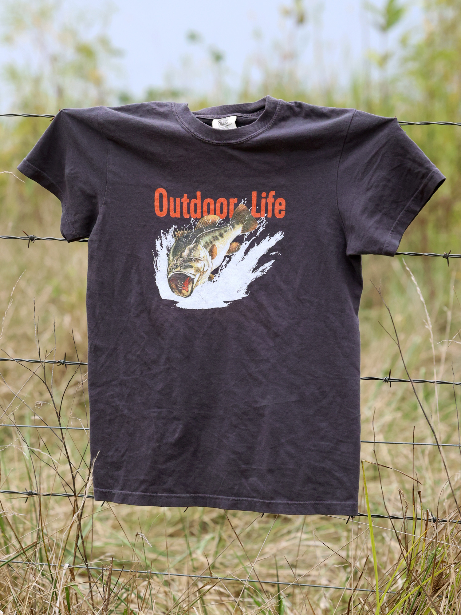 [Titre du site] Vous devez poursuivre ces poissons de Floride qui se battent durs avant de mourir