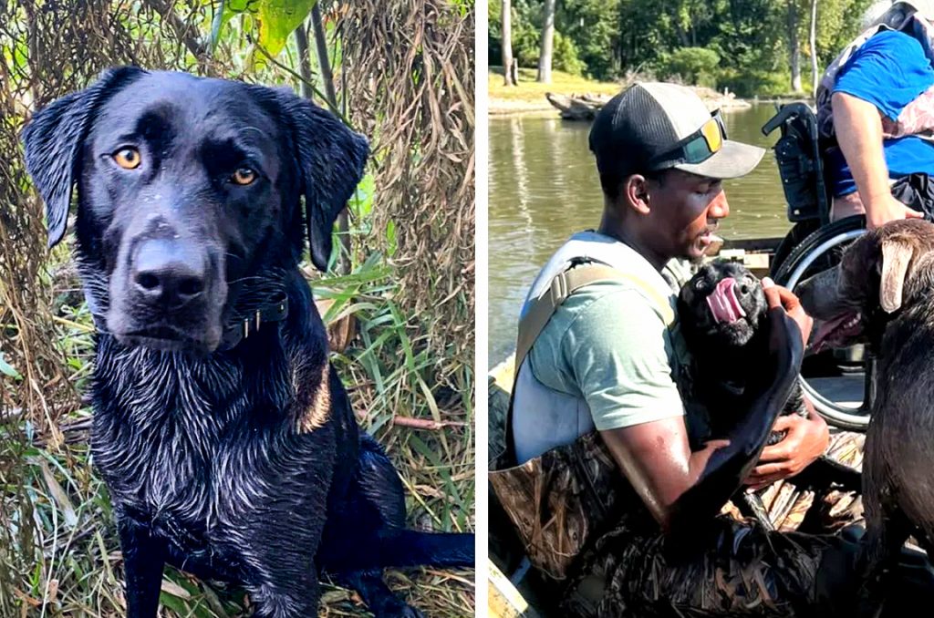 Un chasseur a été retrouvé avec son chien de canard perdu grâce aux médias sociaux, et cette astuce intelligente