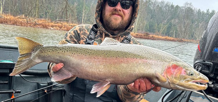 Podcast rapide: décomposition de la sélection des perles pour la truite Steelhead d'automne
