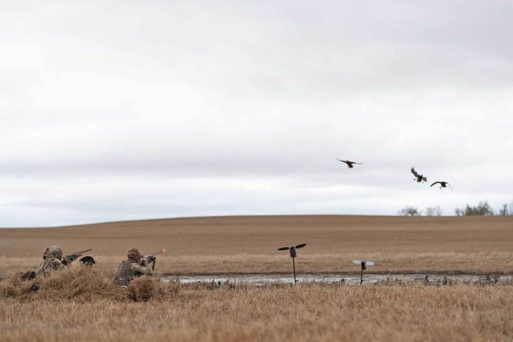 Les 9 plus grands mythes sur la chasse au canard