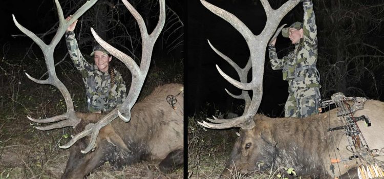 Après 20 ans d'application, 28 jours de chasse et 150 miles de randonnée, j'ai tiré mon taureau à 8 mètres
