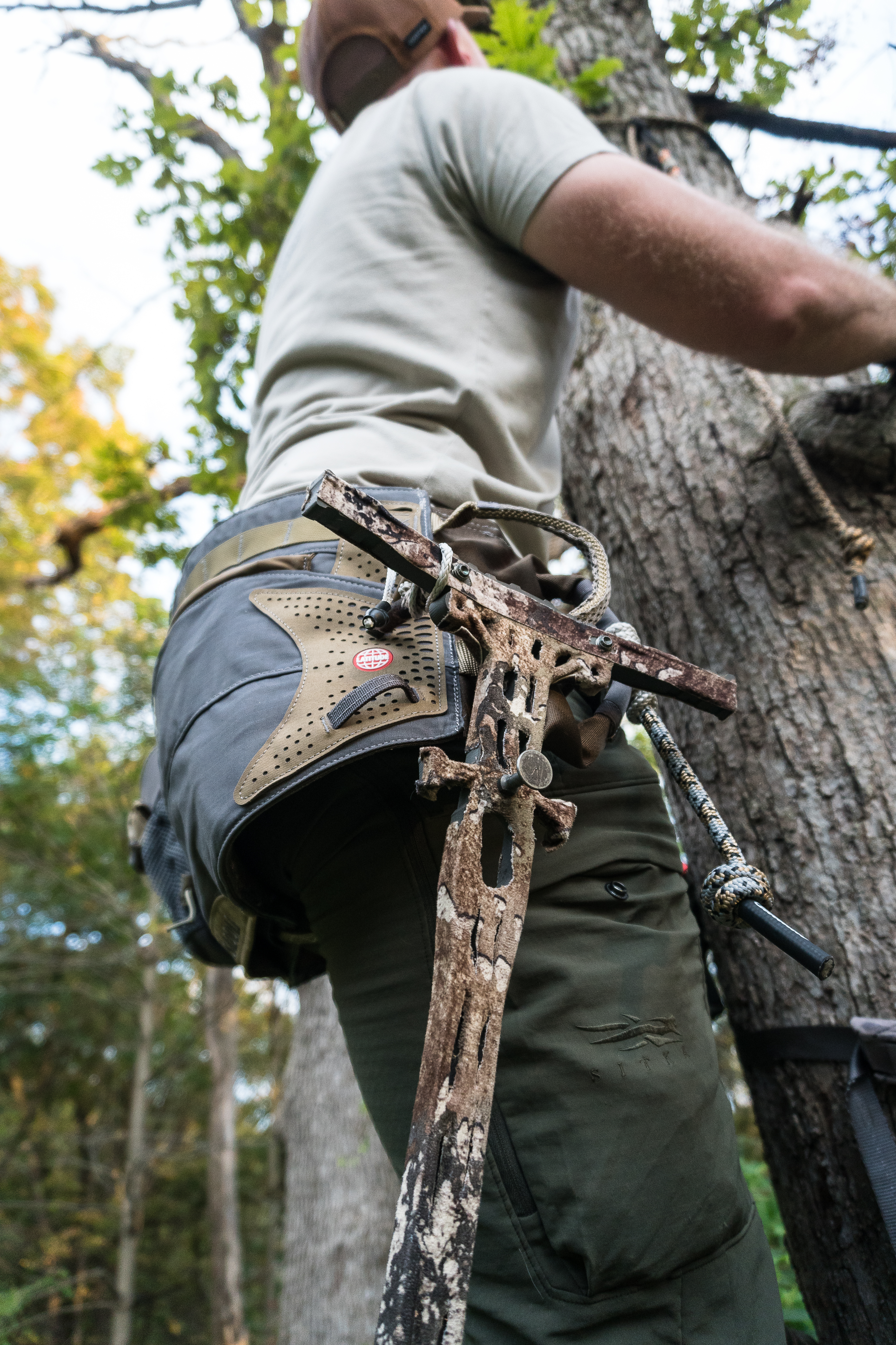 [Titre du site] Méthode Latitude 3 contre Tethrd Carnivore : confrontation en selle d'arbre à deux panneaux