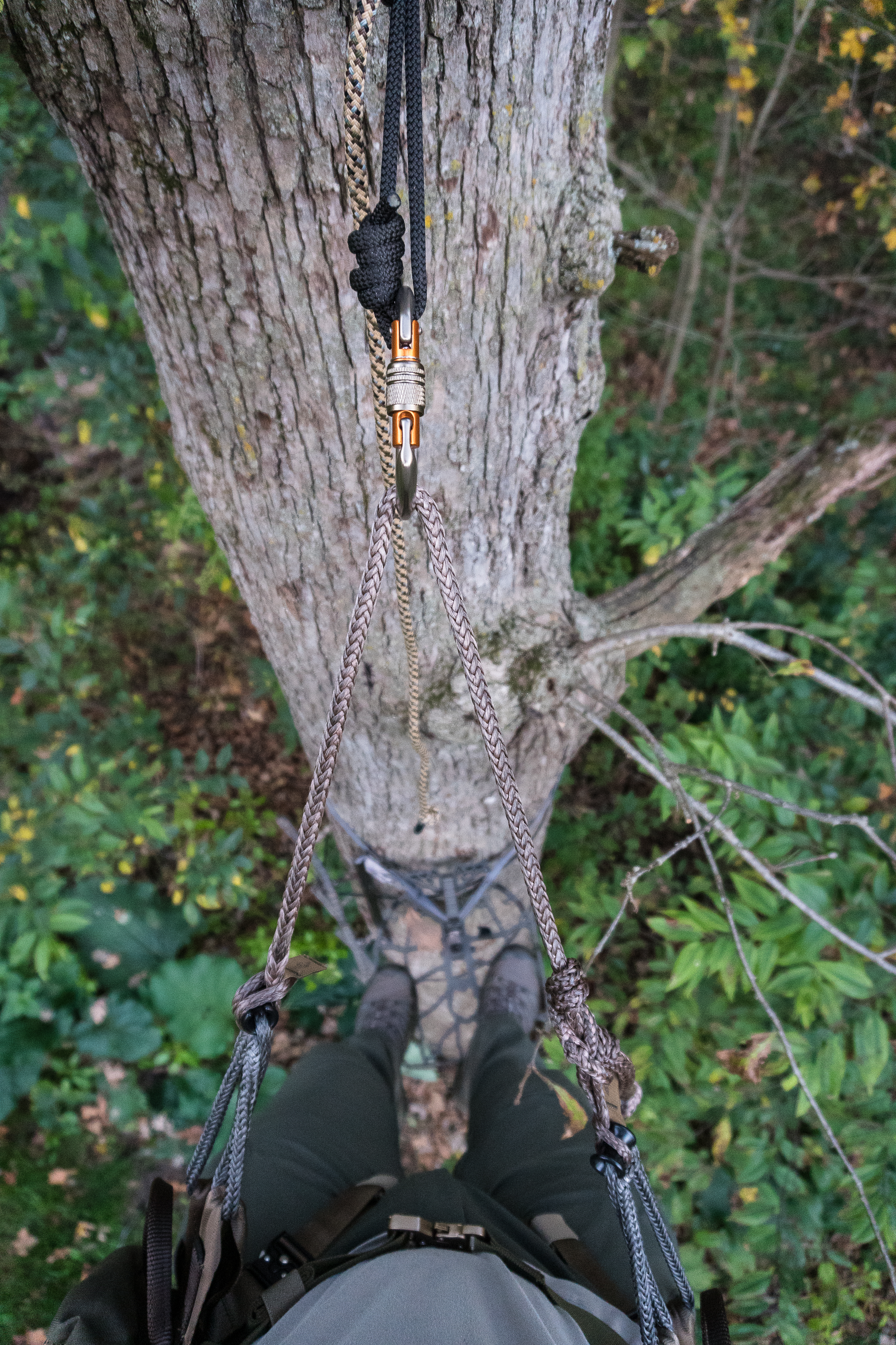 [Titre du site] Méthode Latitude 3 contre Tethrd Carnivore : confrontation en selle d'arbre à deux panneaux