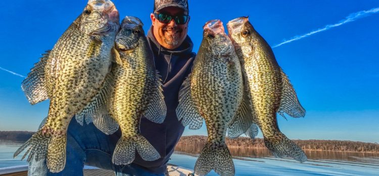 Podcast Quick Strike : Conseils pour attraper plus de merdes cet automne
