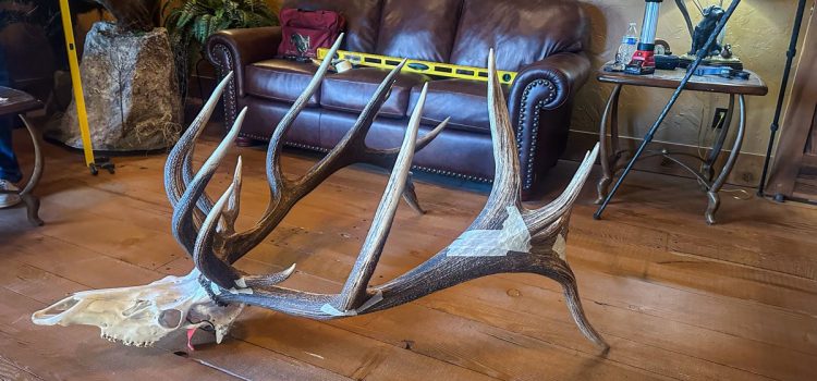 Brooks Bull a officiellement déclaré un nouveau record du monde de tir à l'arc. Il a raté de peu le record de tous les temps en raison d'un problème technique de notation
