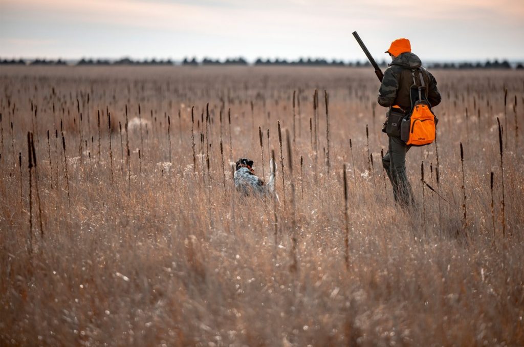 Un nouveau programme ajoute plus de 100 000 acres d'accès sans rendez-vous dans ces 5 États