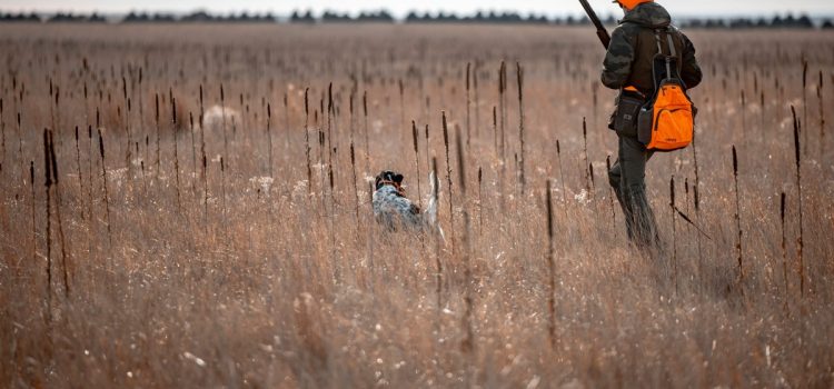 Un nouveau programme ajoute plus de 100 000 acres d'accès sans rendez-vous dans ces 5 États
