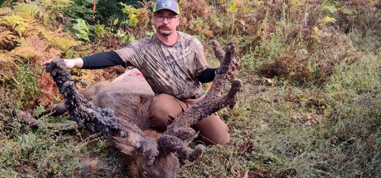 L'élan « une fois dans sa vie » de Hunter possède un support à cactus d'apparence sauvage
