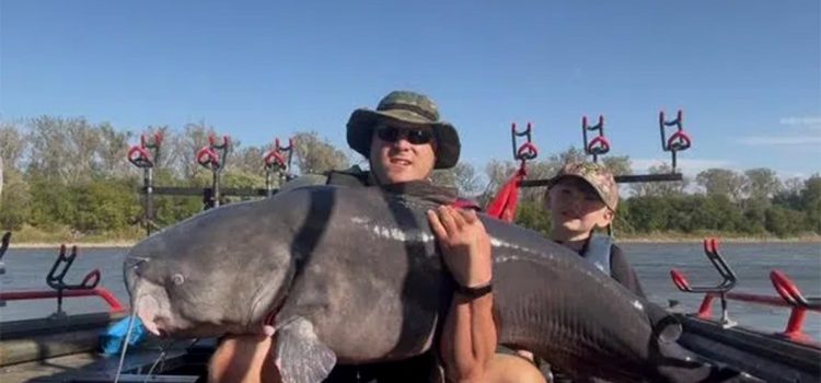 «Nous chassions ce poisson.» Un guide du Nebraska bat le record du poisson-chat vieux de 21 ans
