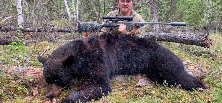 Arrêtez de tirer sur les ours ici ; L’éducation des chasseurs nous a échoué sur l’anatomie de l’ours
