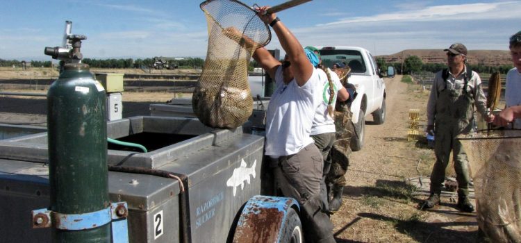 2 000 employés fédéraux des terres publiques pourraient perdre leur emploi en raison d'une fermeture
