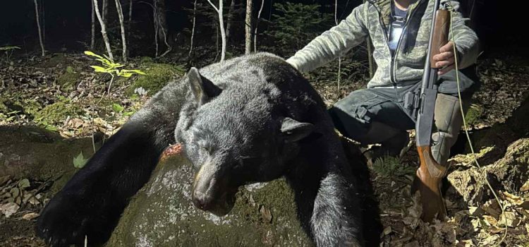 Un guide du Maine capture un nouvel ours noir record d’État
