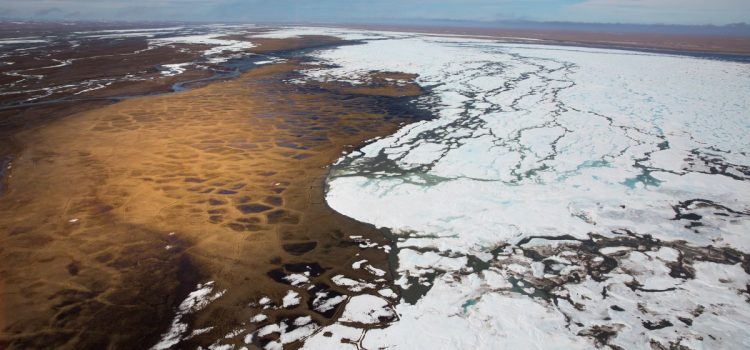 L’administration Trump ouvre la réserve faunique nationale de l’Arctique au forage
