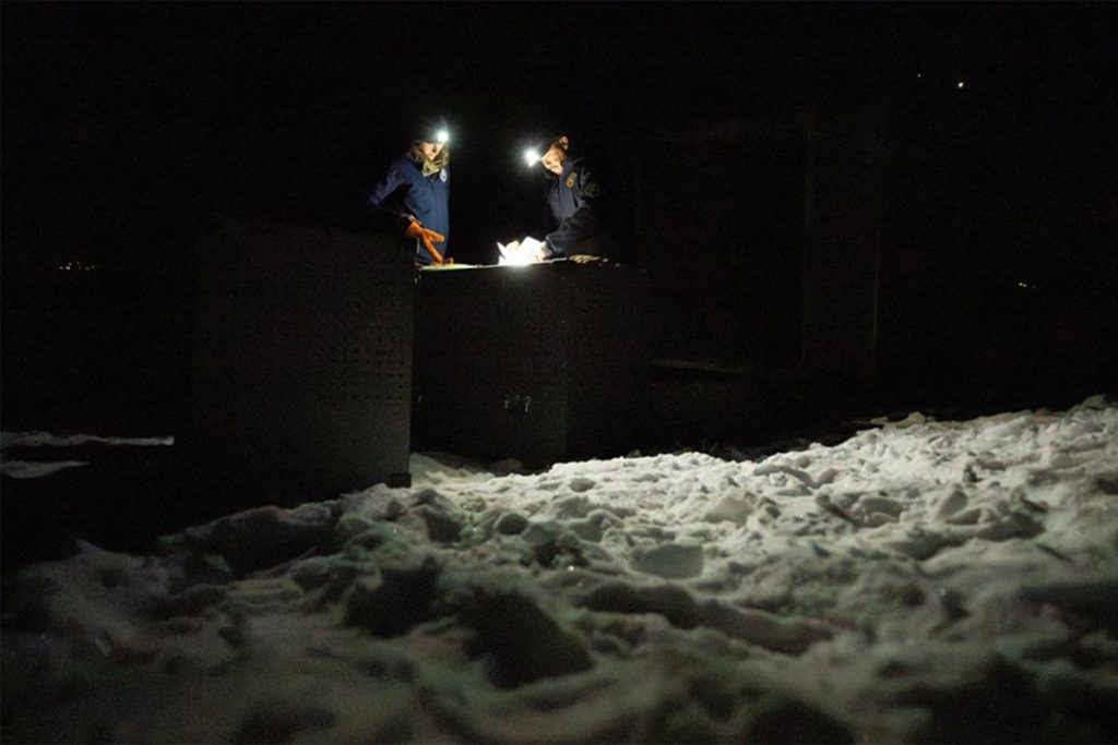 Le directeur américain de la pêche et de la faune dénonce le programme Colorado Wolf. La prochaine version pourrait-elle être arrêtée ?