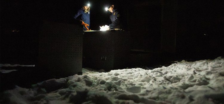 Le directeur américain de la pêche et de la faune dénonce le programme Colorado Wolf. La prochaine version pourrait-elle être arrêtée ?
