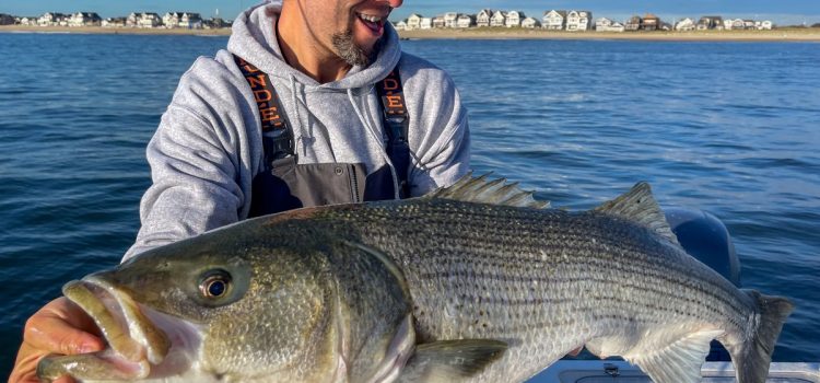 Podcast Quick Strike : utilisez ce poisson-appât clé pour attraper le bar de votre vie Podcast Quick Strike : utilisez ce poisson-appât clé pour attraper le bar de votre vie