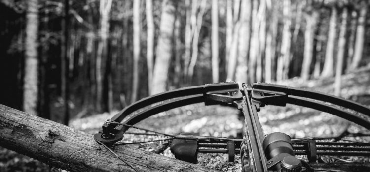 Contes de garde-chasse : J’ai traqué un braconnier à l’arbalète à fil de déclenchement Contes de garde-chasse : J'ai traqué un braconnier à l'arbalète à fil de déclenchement