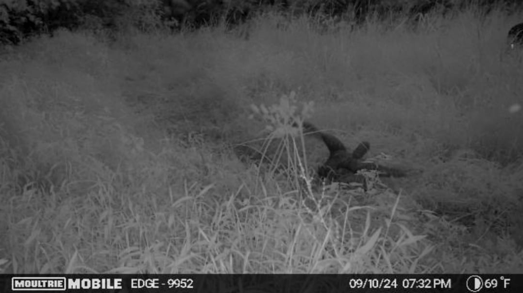 [Titre du site] 19 photos étranges de caméras de surveillance que vous ne pouvez pas ignorer