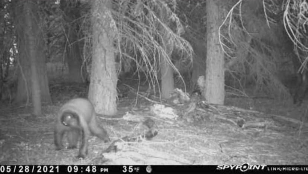 [Titre du site] 19 photos étranges de caméras de surveillance que vous ne pouvez pas ignorer