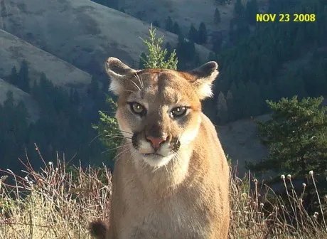 [Titre du site] 19 photos étranges de caméras de surveillance que vous ne pouvez pas ignorer