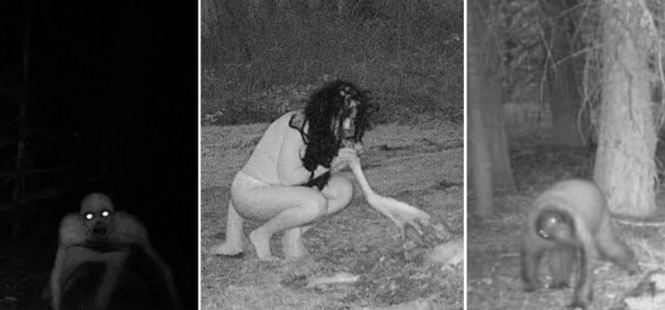 19 photos étranges de caméras de surveillance que vous ne pouvez pas ignorer 19 photos étranges de caméras de surveillance que vous ne pouvez pas ignorer