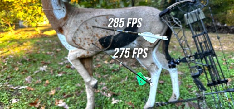 Tout ce que les chasseurs à l’arc doivent savoir sur la vitesse des flèches
