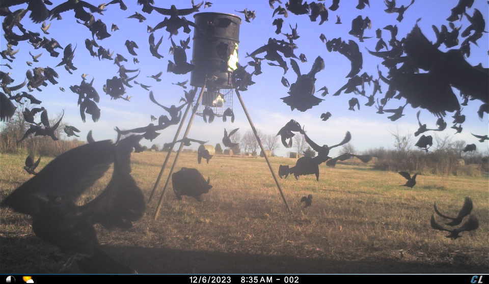 [Titre du site] 19 photos étranges de caméras de surveillance que vous ne pouvez pas ignorer