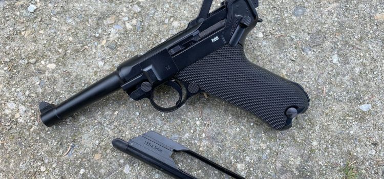 Backyard Plinking : ces pistolets à air comprimé sont plus froids que jamais
