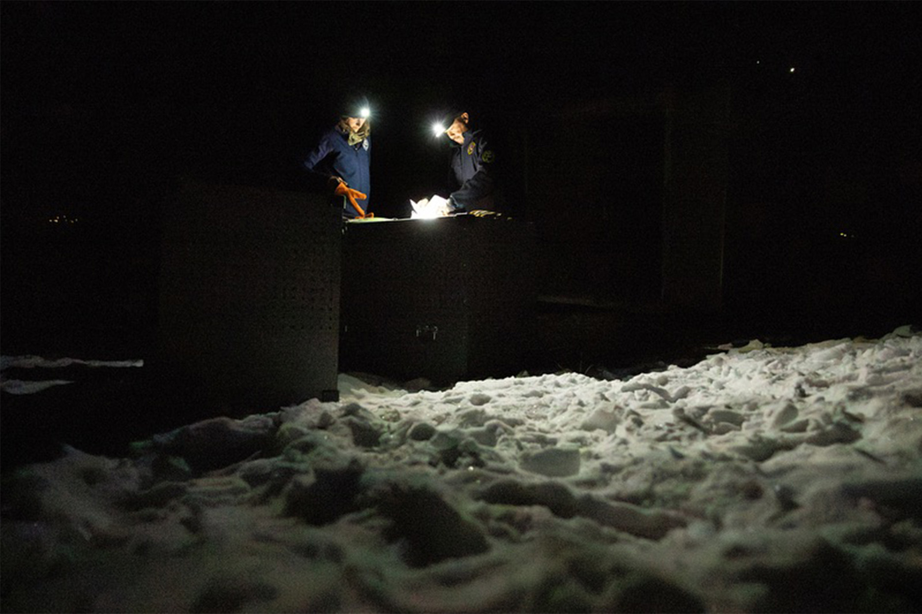 [Titre du site] Le directeur américain de la pêche et de la faune dénonce le programme Colorado Wolf. La prochaine version pourrait-elle être arrêtée ?