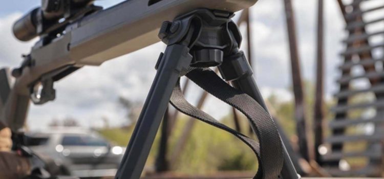 Offres Prime Day sur les bipieds
