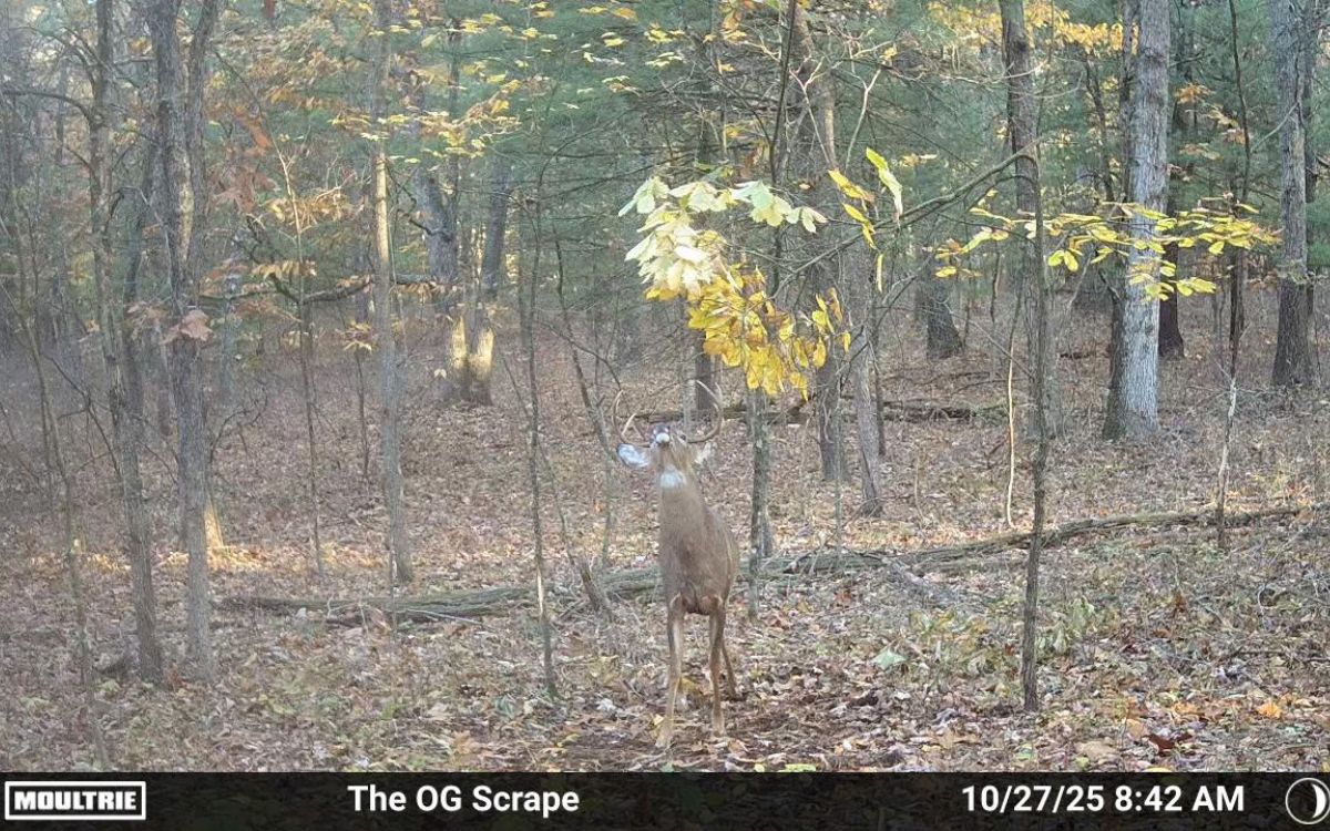 [Titre du site] Où tuer un dollar ce week-end : ciblez ces principales sources de nourriture et ces éraflures