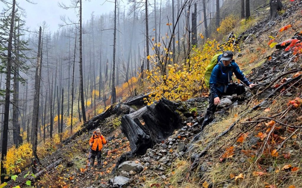 La Garde nationale de l'Oregon déployée alors que la recherche d'un chasseur de cerfs disparu entre dans son troisième jour