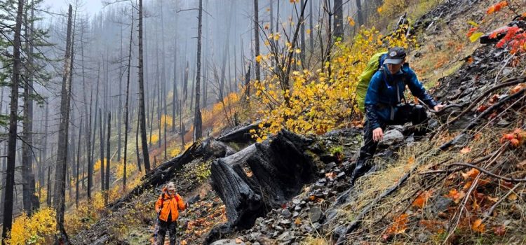 La Garde nationale de l'Oregon déployée alors que la recherche d'un chasseur de cerfs disparu entre dans son troisième jour
