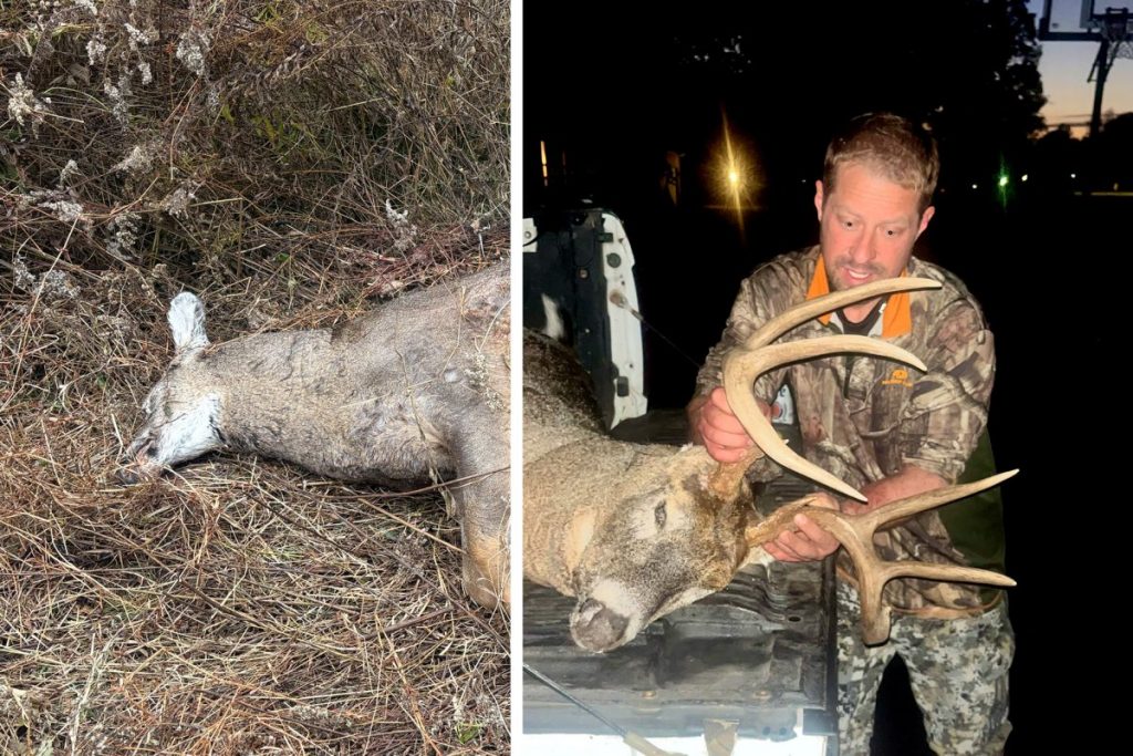 J'ai traqué un mâle pendant 36 heures pour découvrir qu'un garde-chasse avait déjà pris les bois