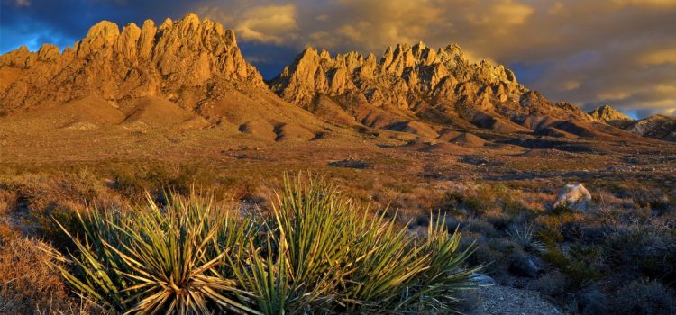 Un ancien membre du Congrès du Nouveau-Mexique (et partisan des transferts de terres publiques) choisi pour diriger le BLM Un ancien membre du Congrès du Nouveau-Mexique (et partisan des transferts de terres publiques) choisi pour diriger le BLM