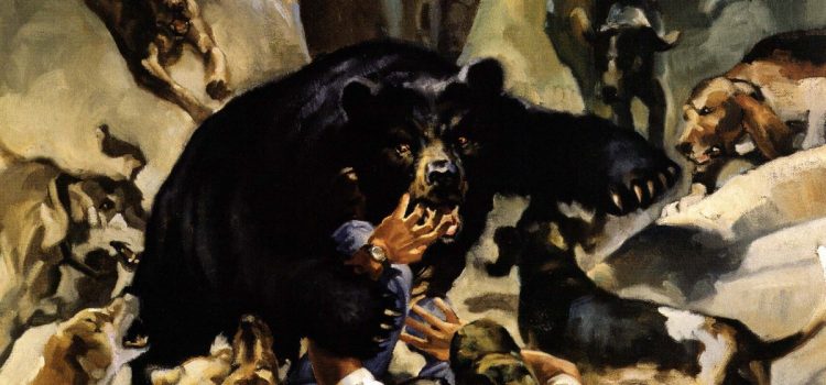 Un ours noir a essayé de tuer mes chiens. Puis ça s’est retourné contre moi Un ours noir a essayé de tuer mes chiens. Puis ça s'est retourné contre moi