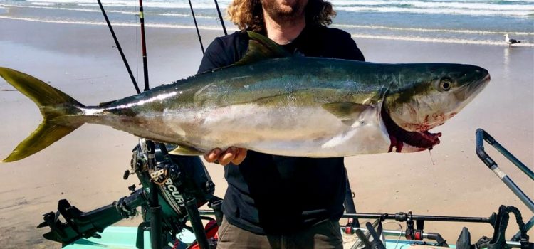 La recherche d’un influenceur de pêche disparu se termine 4 jours après la découverte d’un skiff chaviré à la dérive au large de la côte de Baja La recherche d'un influenceur de pêche disparu se termine 4 jours après la découverte d'un skiff chaviré à la dérive au large de la côte de Baja
