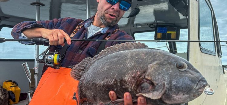 Podcast Quick Strike : Comment attraper Tautog comme les Cool Kids Podcast Quick Strike : Comment attraper Tautog comme les Cool Kids