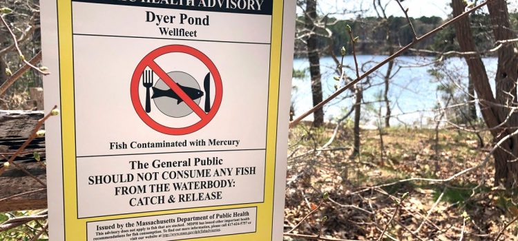 L’EPA supprime la Clean Water Act, qui protège le poisson et le gibier depuis 53 ans L’EPA supprime la Clean Water Act, qui protège le poisson et le gibier depuis 53 ans