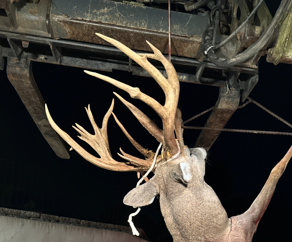 [Titre du site] Il a presque sauté la chasse au retour de son fils, puis a tiré avec un Droptine de classe 200